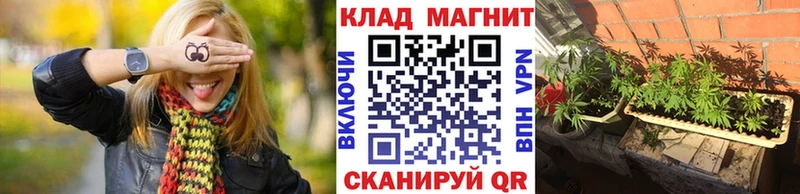 Купить наркотик аптеки Кимовск АМФ  COCAIN  Псилоцибиновые грибы  Марихуана  Меф мяу мяу 