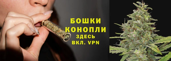 твердый Дмитров
