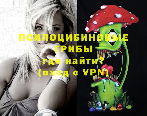 твердый Дмитров
