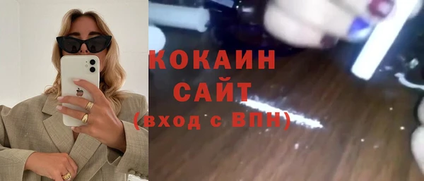 твердый Дмитров