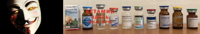 прущая мука Дмитриев
