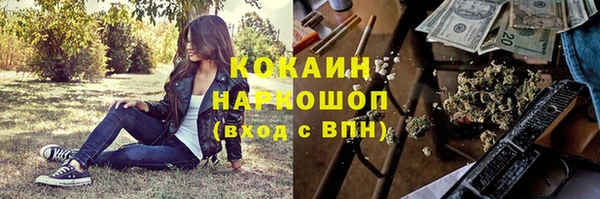 твердый Дмитров