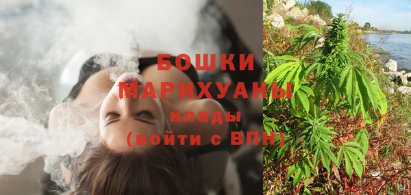 прущая мука Дмитриев