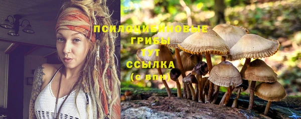прущая мука Дмитриев
