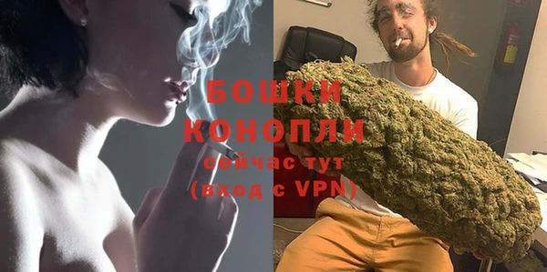 прущая мука Дмитриев