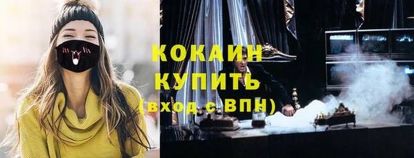 твердый Дмитров